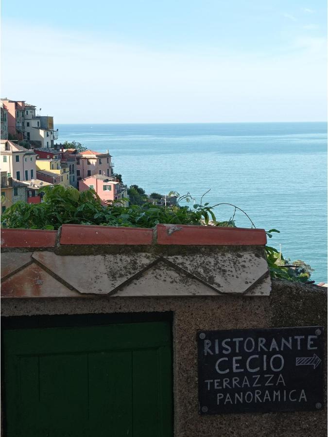 Cecio 5 Terre Rooms Corniglia Extérieur photo