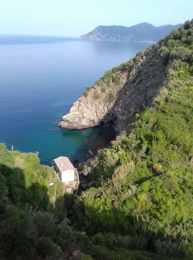Cecio 5 Terre Rooms Corniglia Extérieur photo